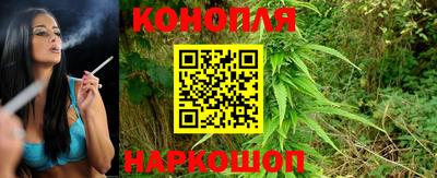 сатива Краснодар
