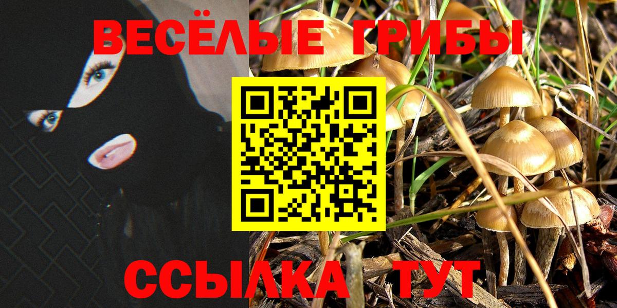 Псилоцибиновые грибы мицелий  Галлюциногенные грибы Psilocybine cubensis  Вход с VPN  Жуковский 