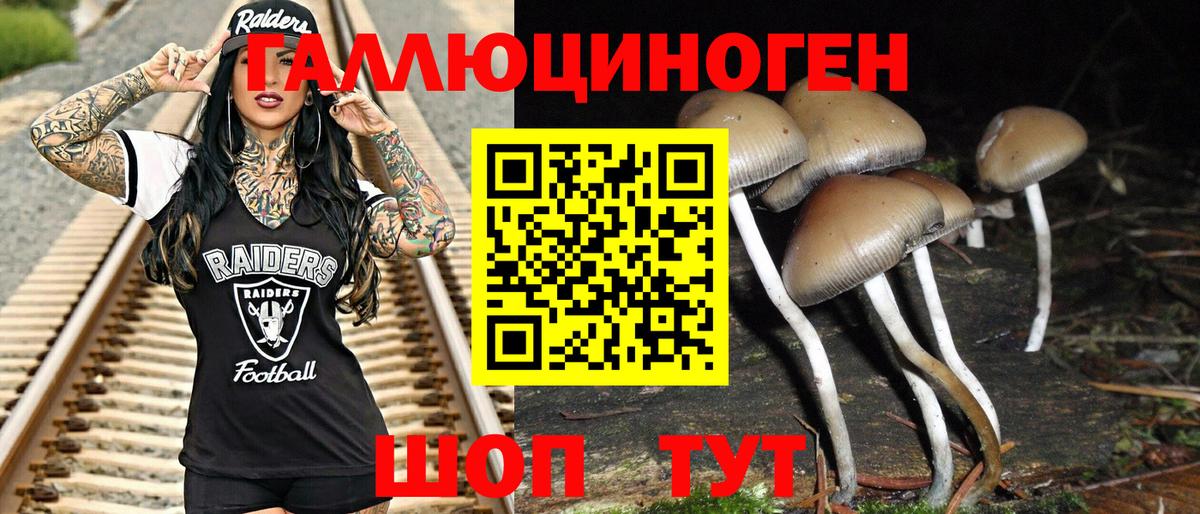Галлюциногенные грибы ЛСД Жуковский